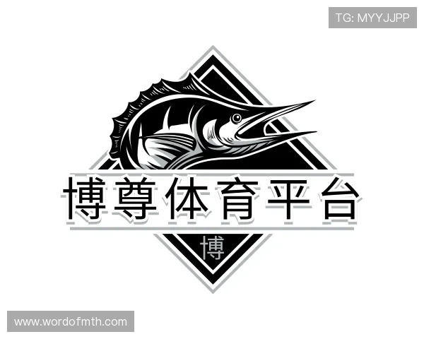 解读博尊体育平台